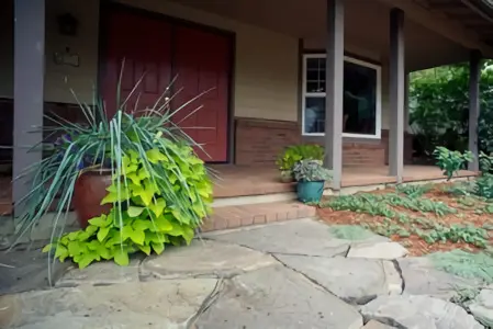 A front view of the house with plants