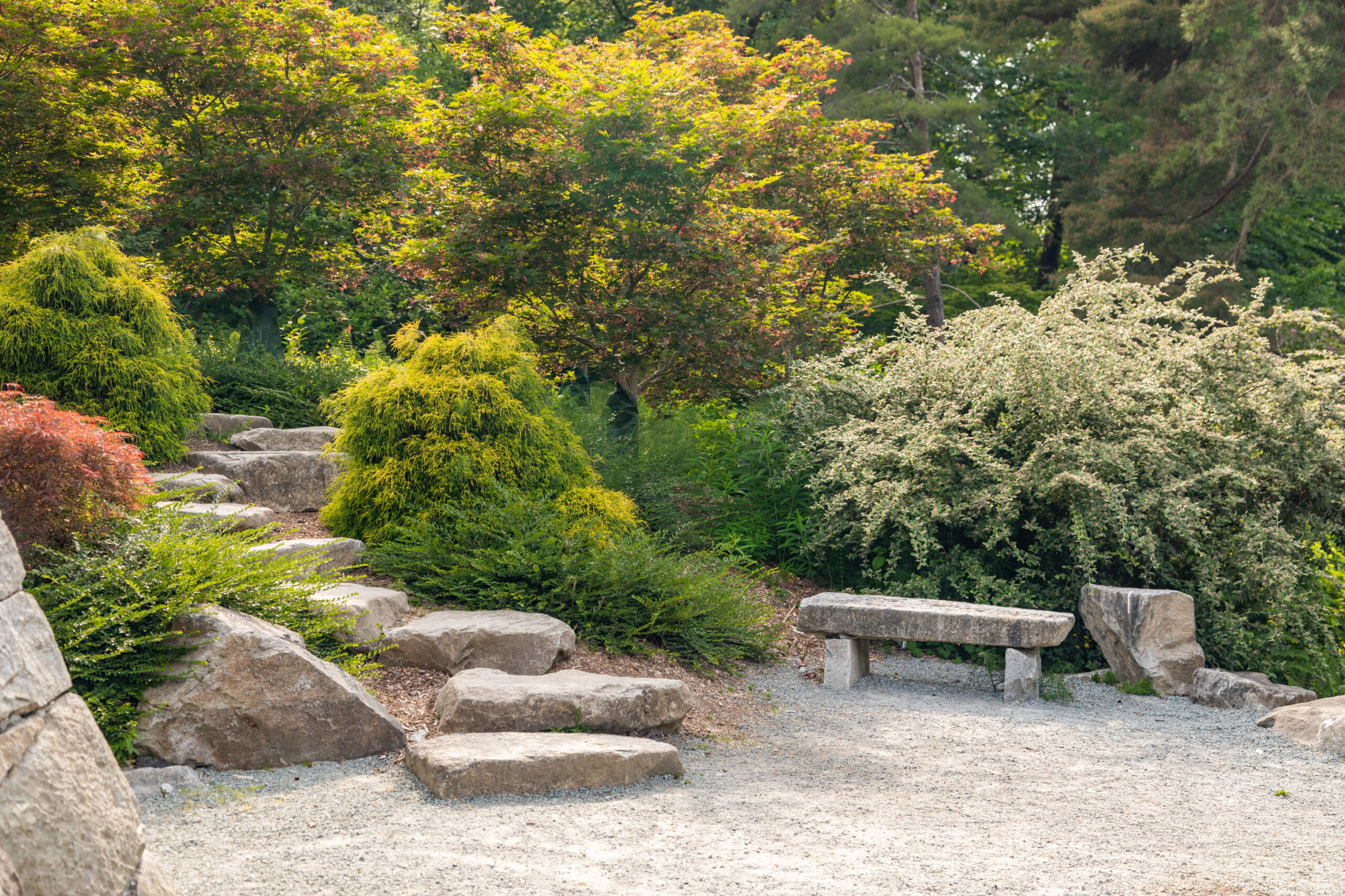 A garden with trees and bushes, rocks and stairs.